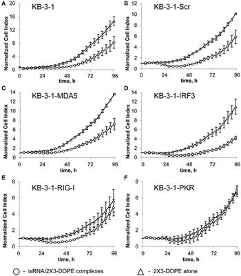 Molecular Mechanism of the Antiproliferative Activity of Short Immunostimulating dsRNA